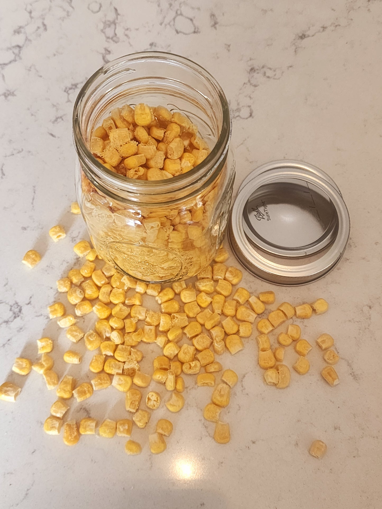 Freeze dried corn with garlic salt seasoning